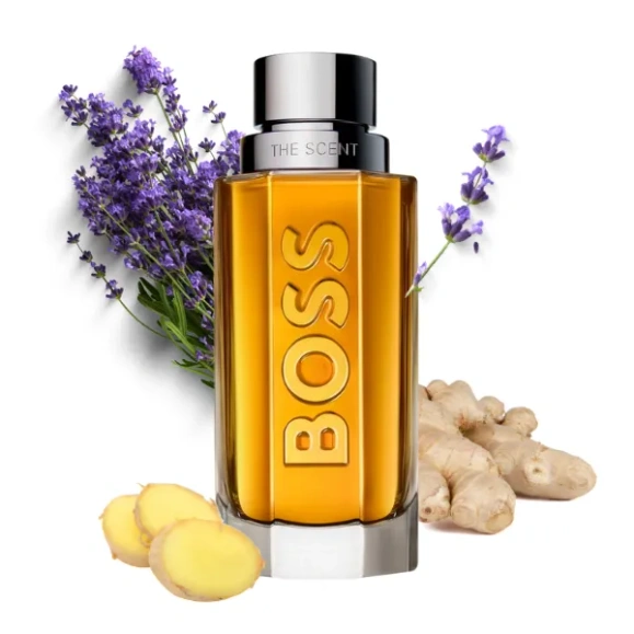 Men's The Scent męska woda toaletowa 100 ml